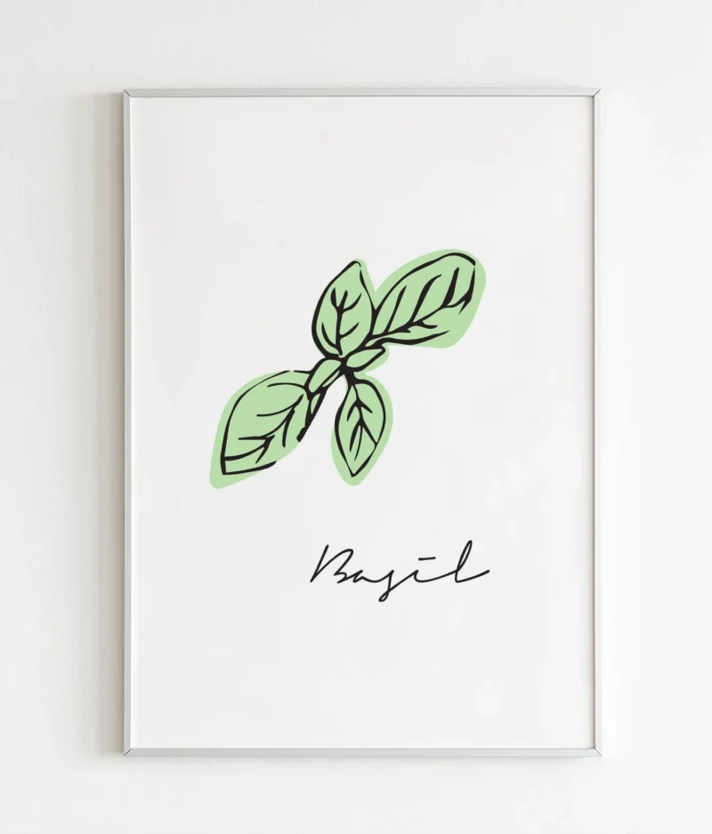 Basil
