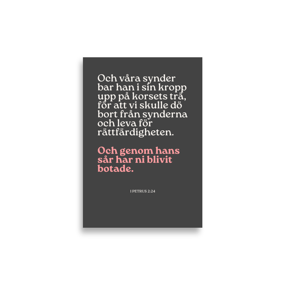 1 Petrus 2 - Poster - Bild 2
