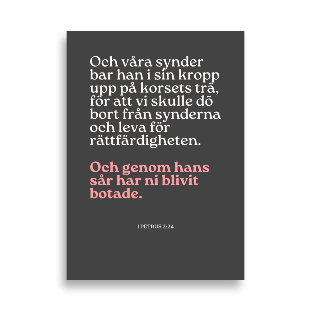 1 Petrus 2 - Poster