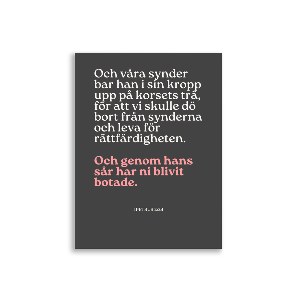 1 Petrus 2 - Poster - Bild 3